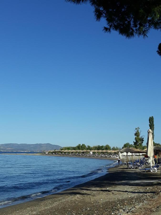 Gorjelina 'S House Villa Golos Dış mekan fotoğraf
