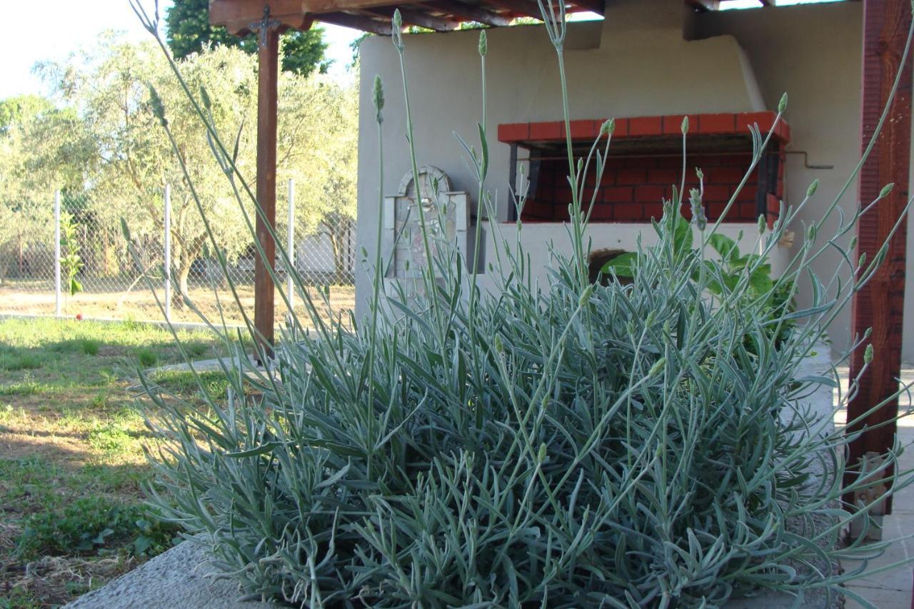 Gorjelina 'S House Villa Golos Dış mekan fotoğraf